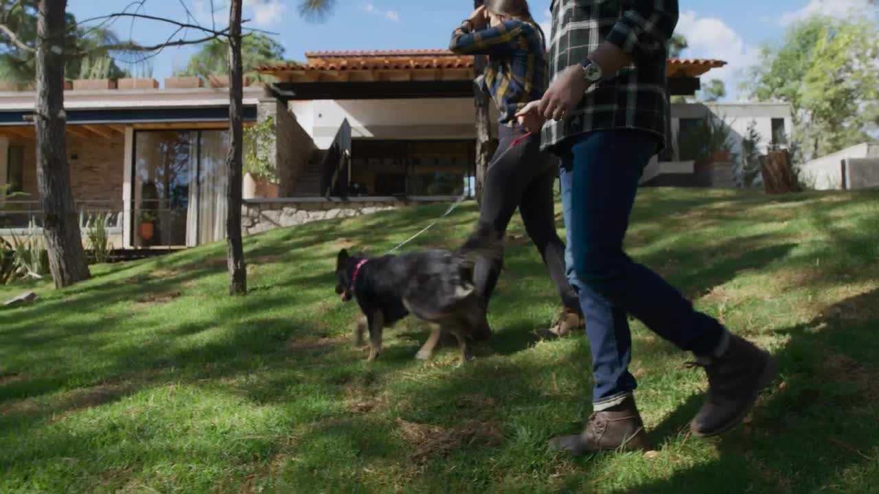 Stock Video Man And Woman Walking A Dog In A Garden Animated Wallpaper