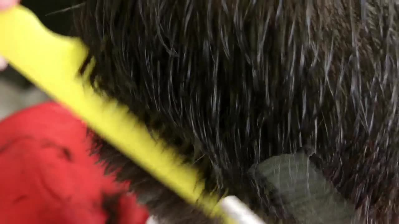 Stock Video Making A Haircut With Scissors And Comb Animated Wallpaper