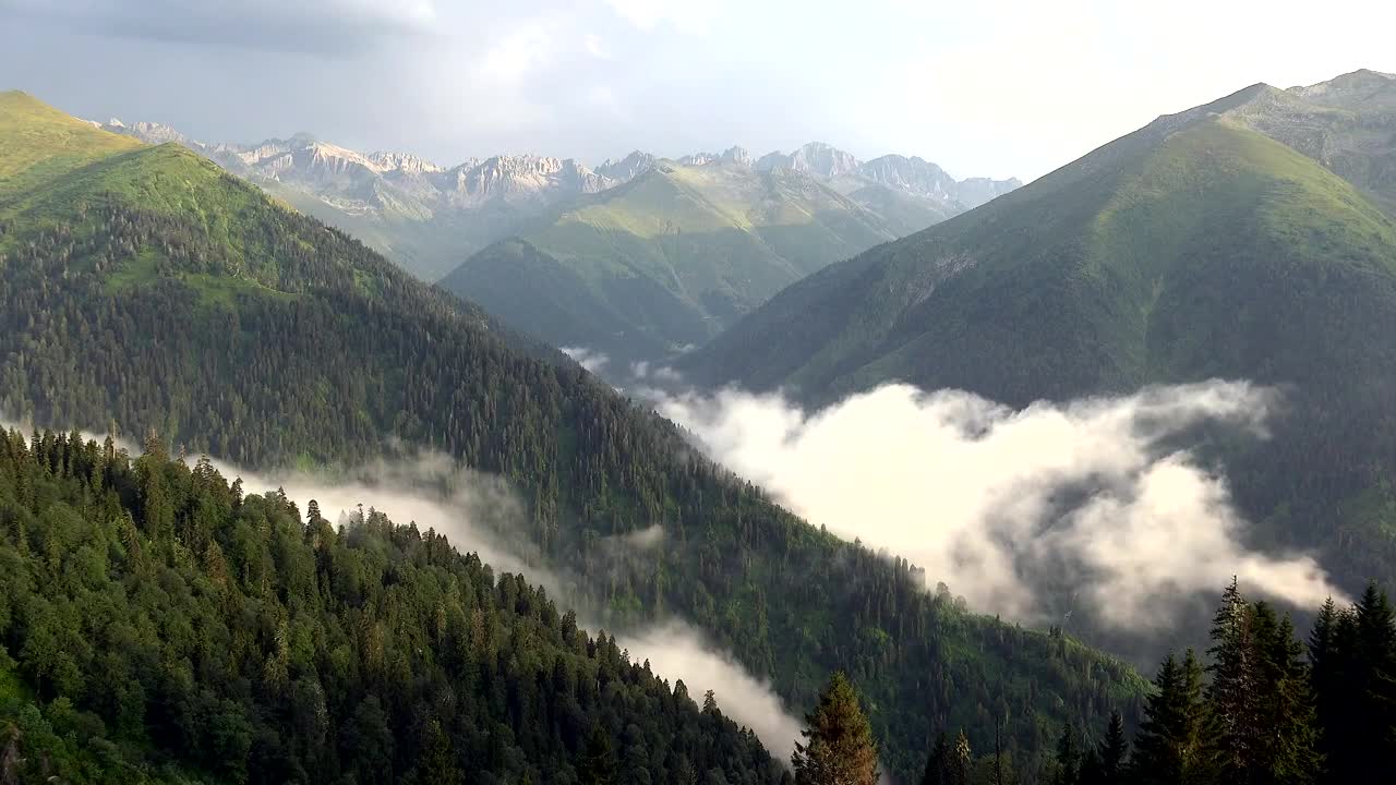 Stock Video Magnificent Mountain Forest Landscape With Clouds Animated Wallpaper