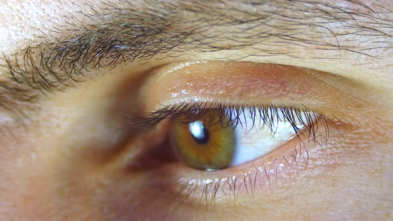 Stock Video Macro Shot Of A Human Eye Blinking Animated Wallpaper