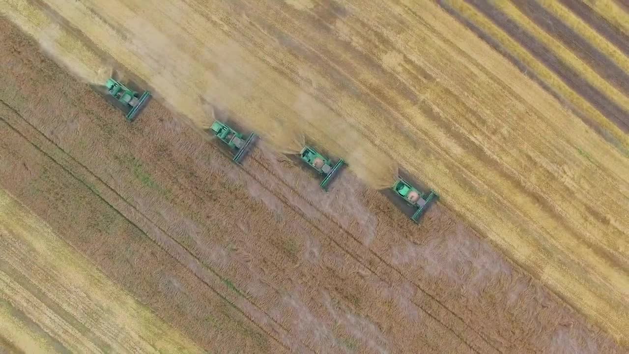 Stock Video Machines Harvesting A Wheat Field Animated Wallpaper