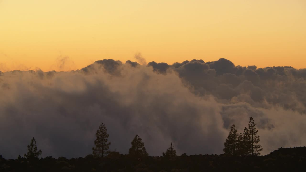Stock Video Low Clouds Behind A Forest Animated Wallpaper