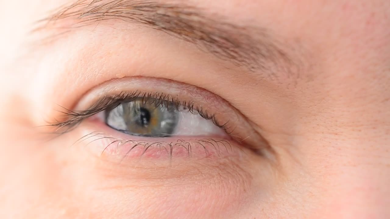 Stock Video Looking To The Left Animated Wallpaper