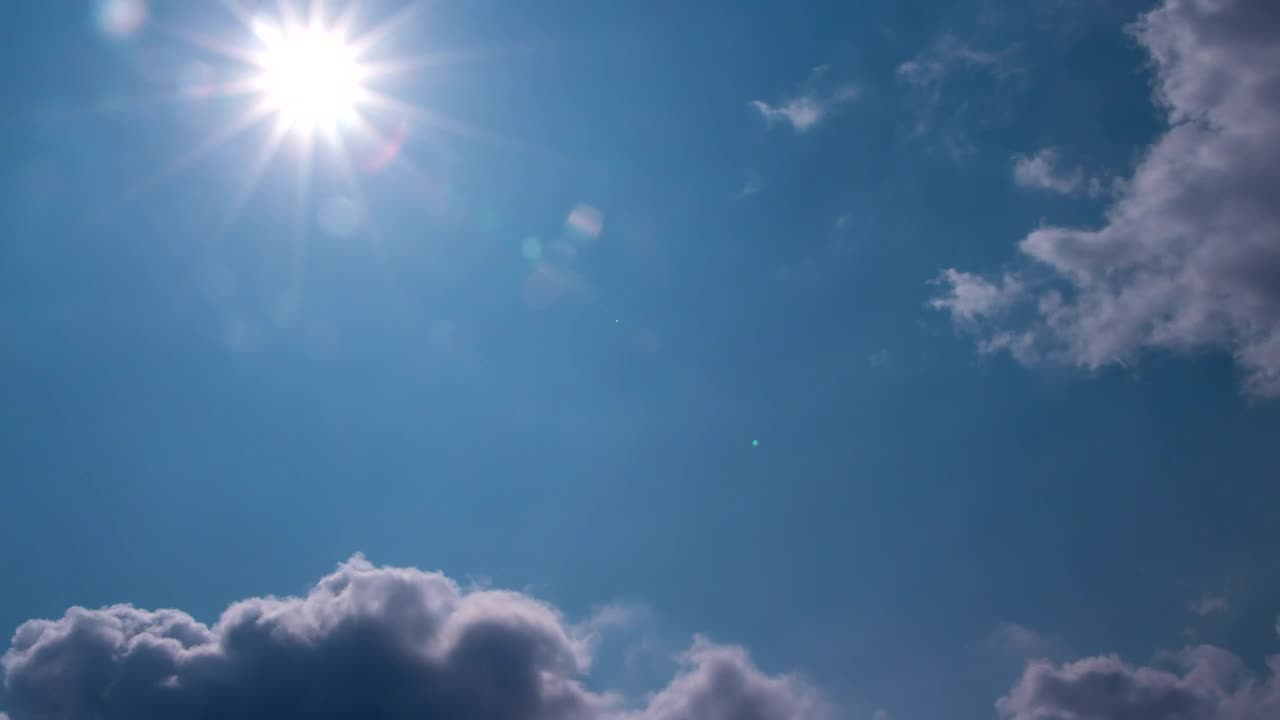 Stock Video Looking Straight Up Towards The Sun Animated Wallpaper