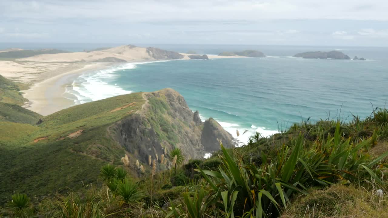 Stock Video Long Seashore And The Ocean In New Zealand Animated Wallpaper