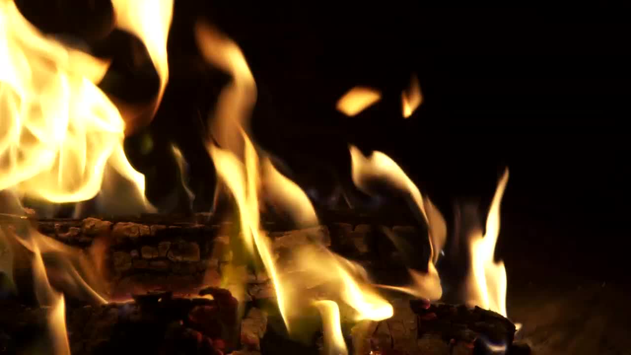 Stock Video Logs Burning Bright Animated Wallpaper
