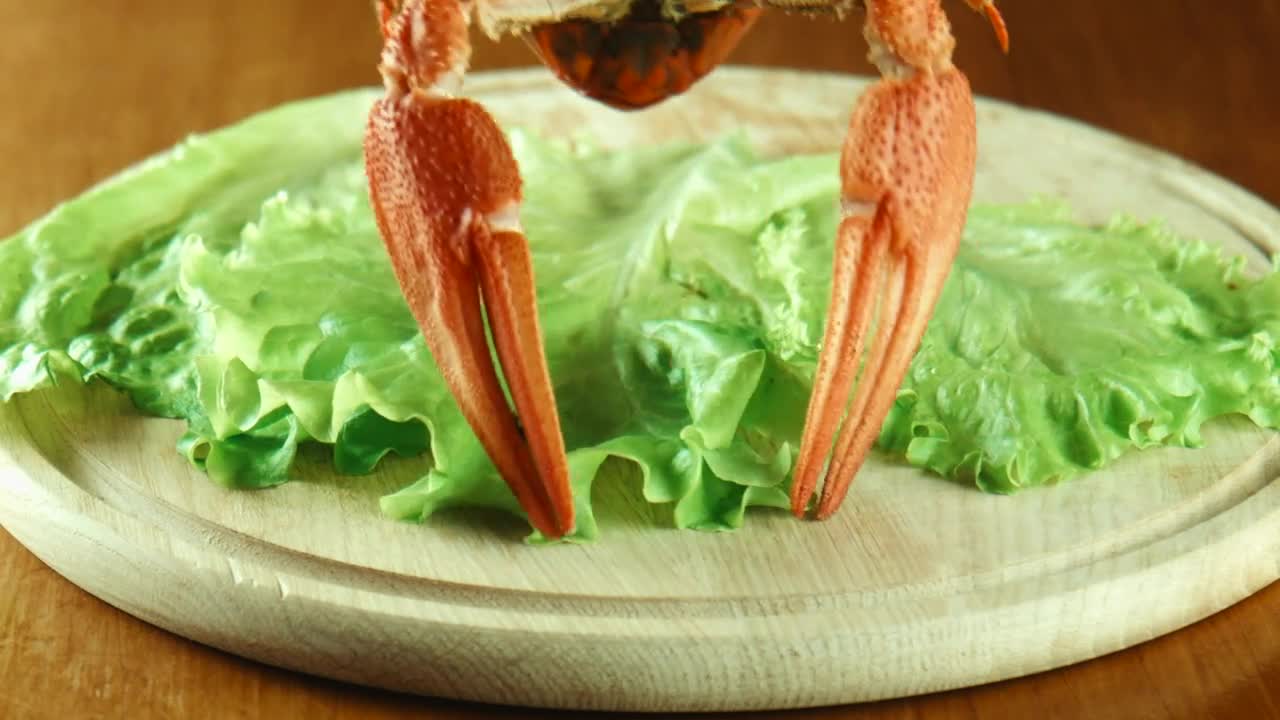 Stock Video Lobsters On A Lettuce Bed Animated Wallpaper