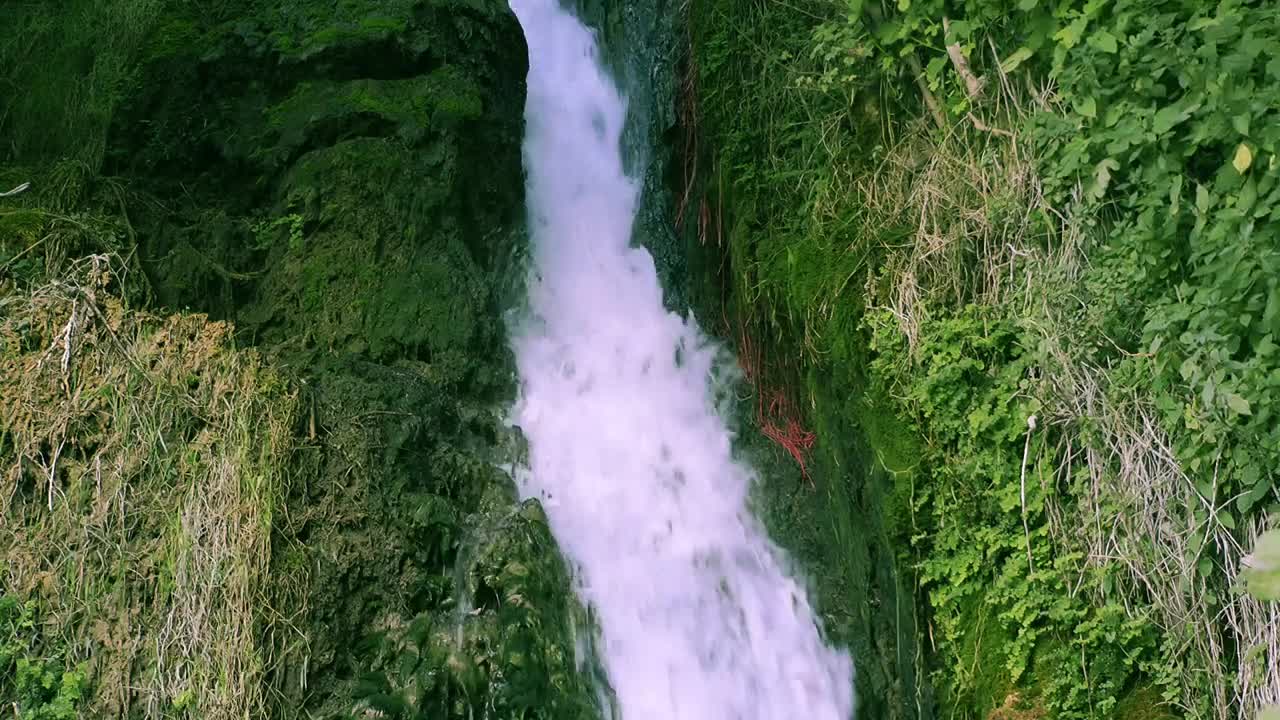 Stock Video Little Waterfall On Green Rocks Animated Wallpaper