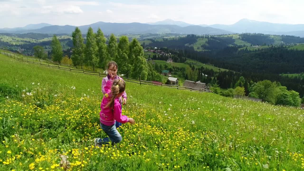 Stock Video Little Sisters Play On The Meadow Animated Wallpaper