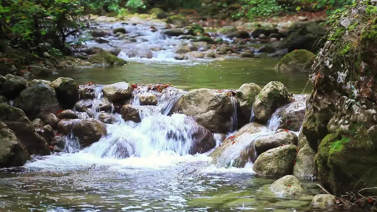 Stock Video Little Rocky River In The Woods Animated Wallpaper