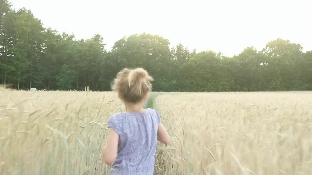 Stock Video Little Girl Running Through A Wheat Field Animated Wallpaper