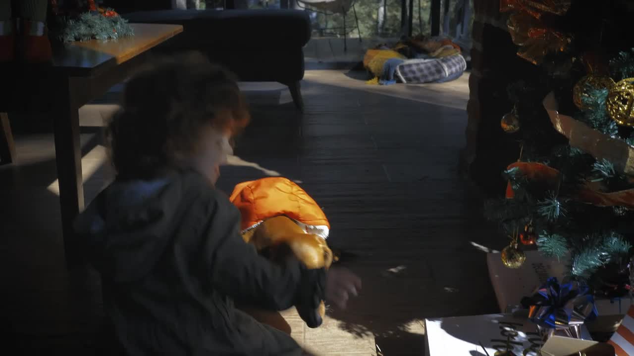 Stock Video Little Girl Playing With Her Dog On Christmas Morning Animated Wallpaper