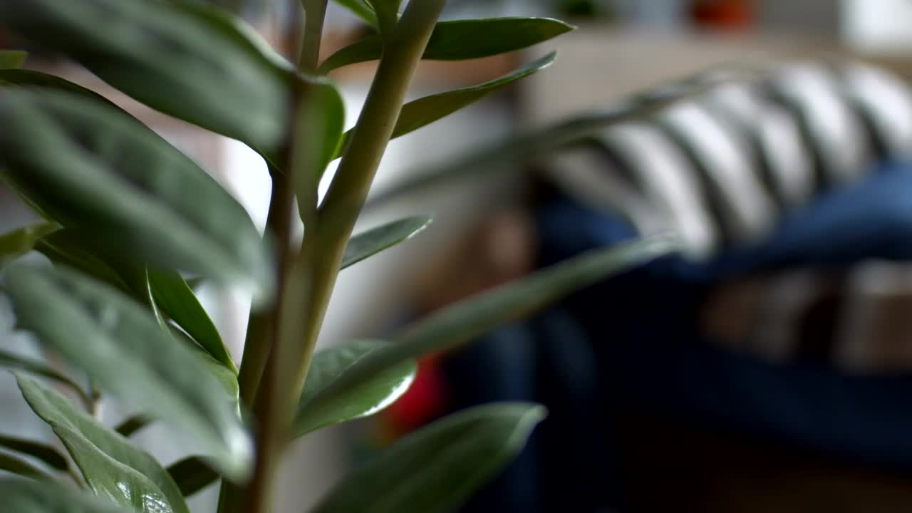 Stock Video Little Girl On The Floor Worried Next To A Bed Animated Wallpaper