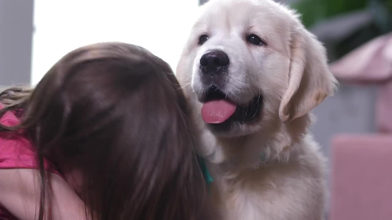 Stock Video Little Girl Lovingly Hugging Her Dog Animated Wallpaper