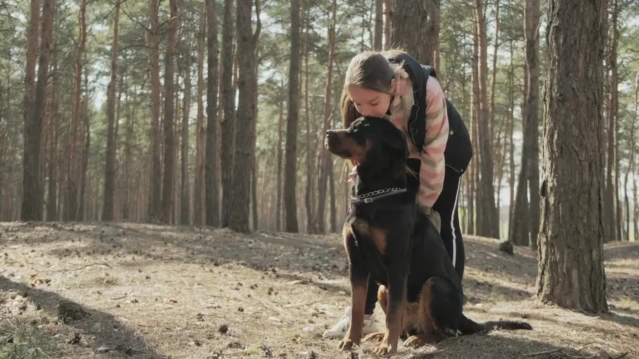 Stock Video Little Girl Kisses Her Dog In The Park Animated Wallpaper