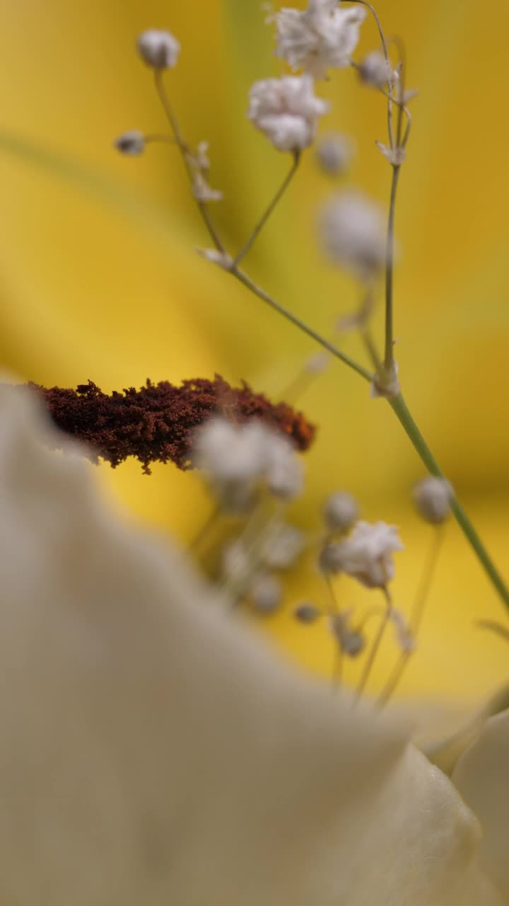 Stock Video Little Flowers Near A Big Flower Animated Wallpaper
