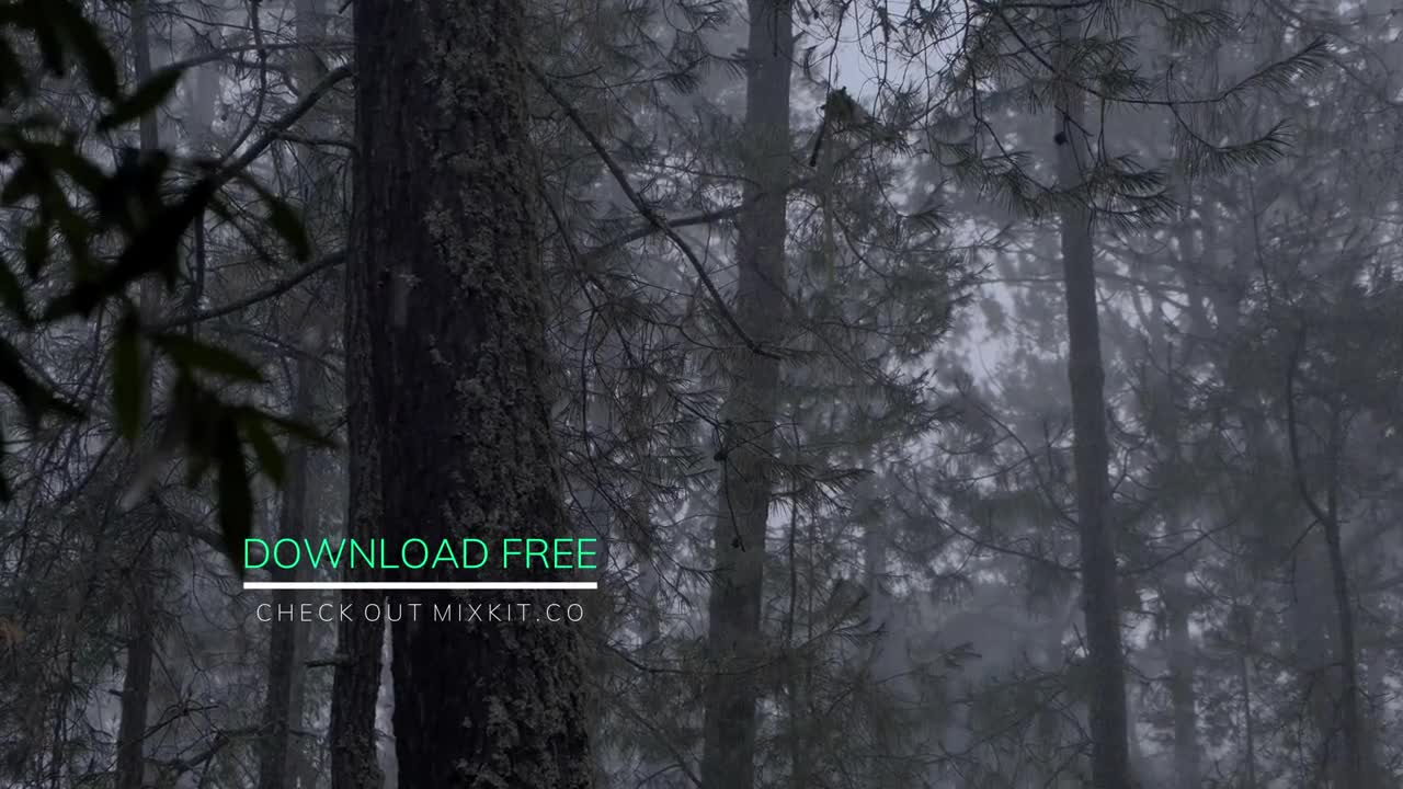 Stock Video Line Drop Lower Third Animated Wallpaper