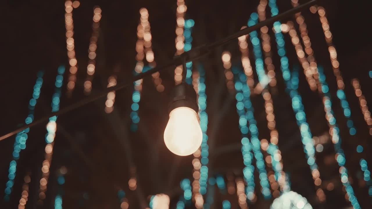 Stock Video Lights In A Christmas Park At Night Animated Wallpaper