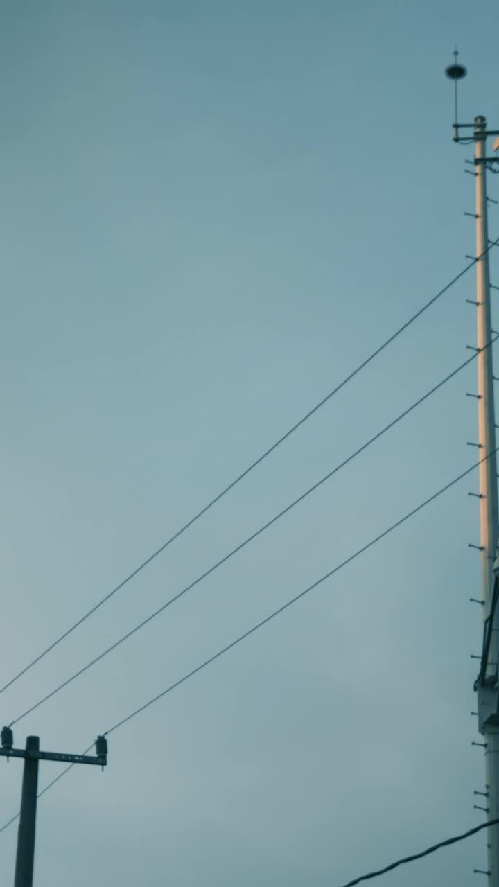 Stock Video Light Posts Animated Wallpaper