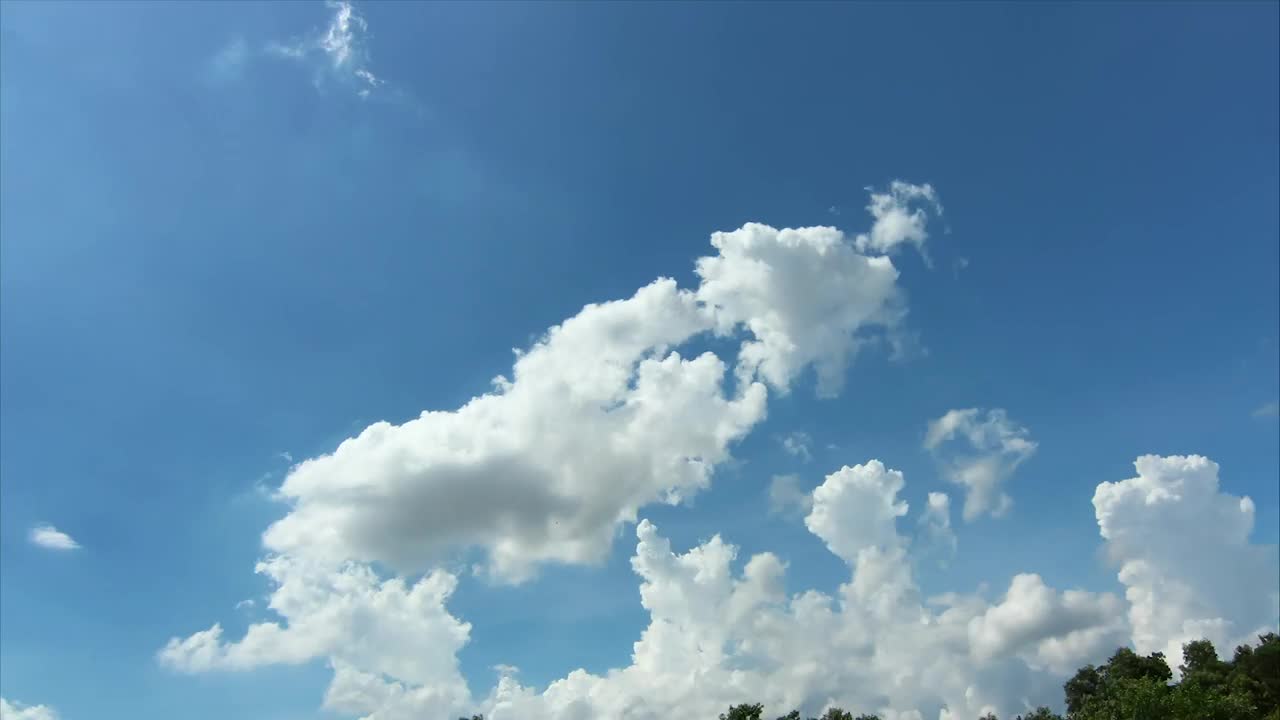 Stock Video Light Blue Sky Above Woodland Animated Wallpaper