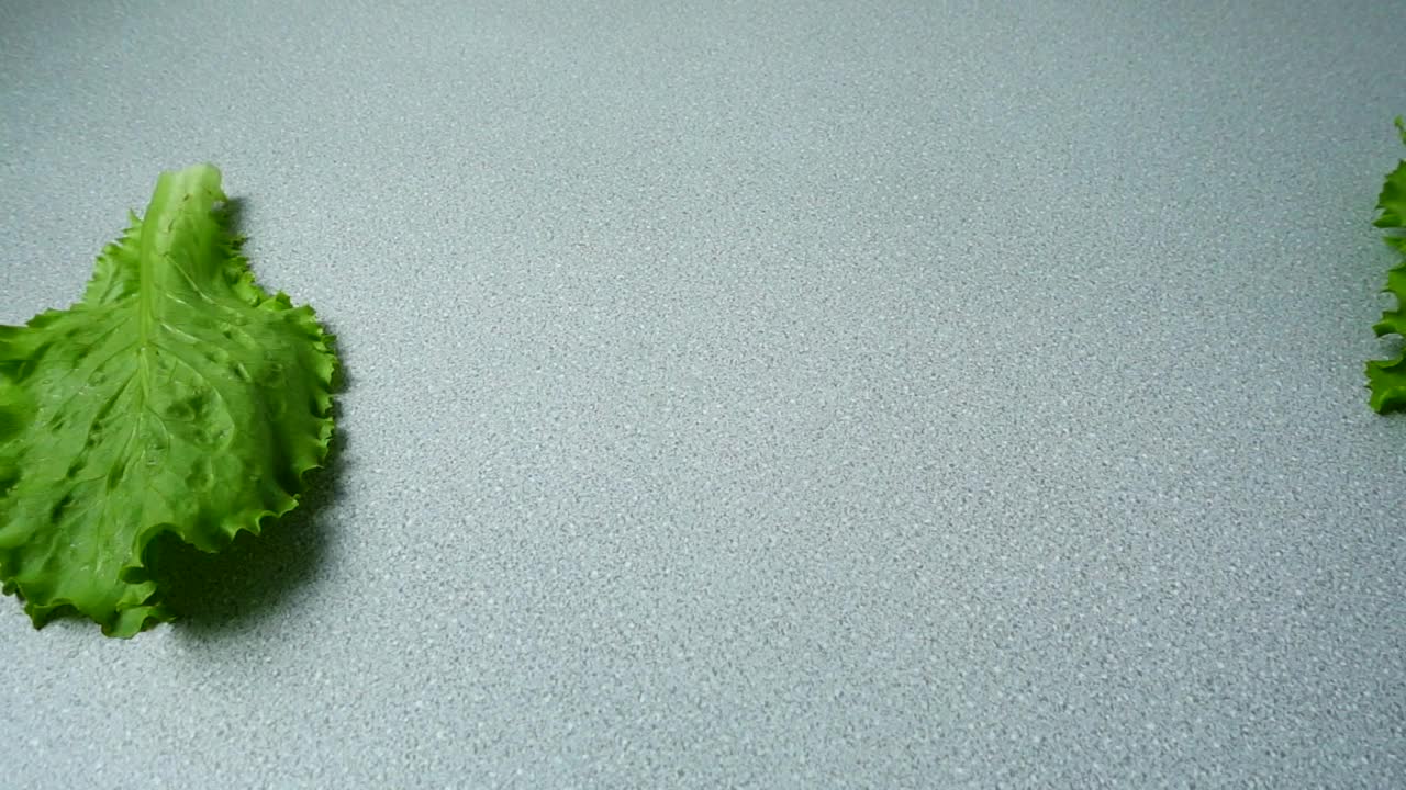 Stock Video Lettuce Leaves Entering The Shot Animated Wallpaper