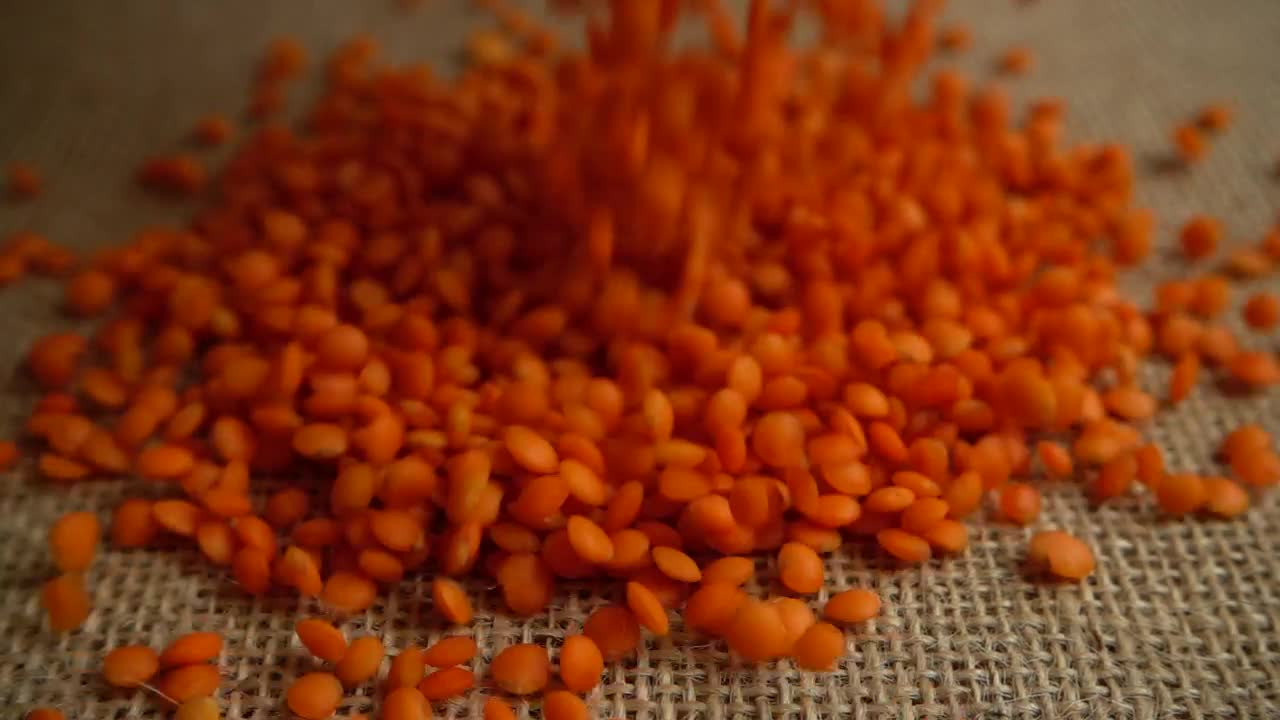 Stock Video Lentil Harvest Animated Wallpaper
