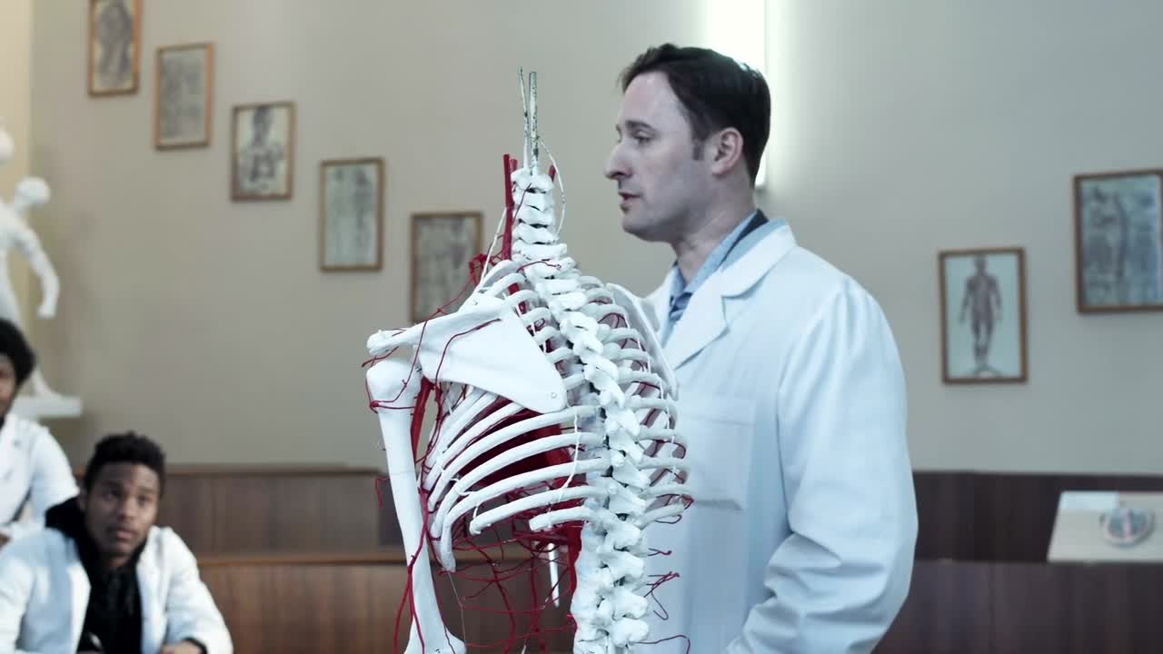 Stock Video Lecture On Human Anatomy In The Classroom Animated Wallpaper