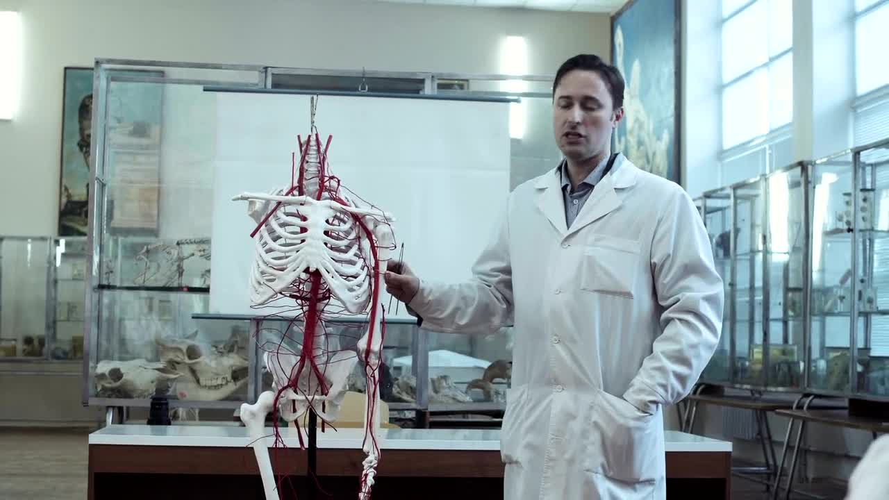 Stock Video Lecture On Human Anatomy Animated Wallpaper