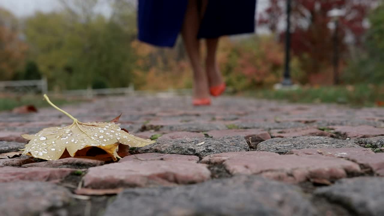 Stock Video Leaf On The Ground In A Park A Woman Walks Animated Wallpaper