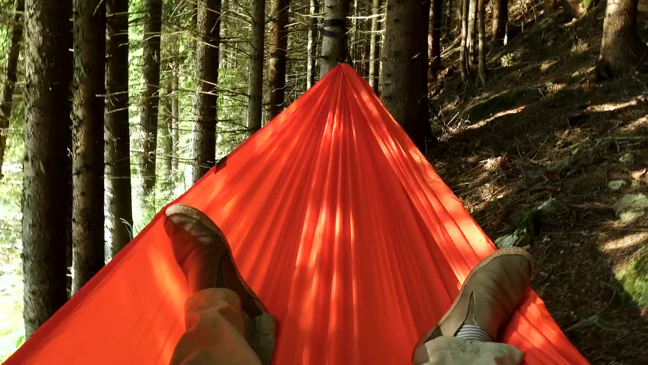 Stock Video Laying In A Hammock In The Forest Animated Wallpaper