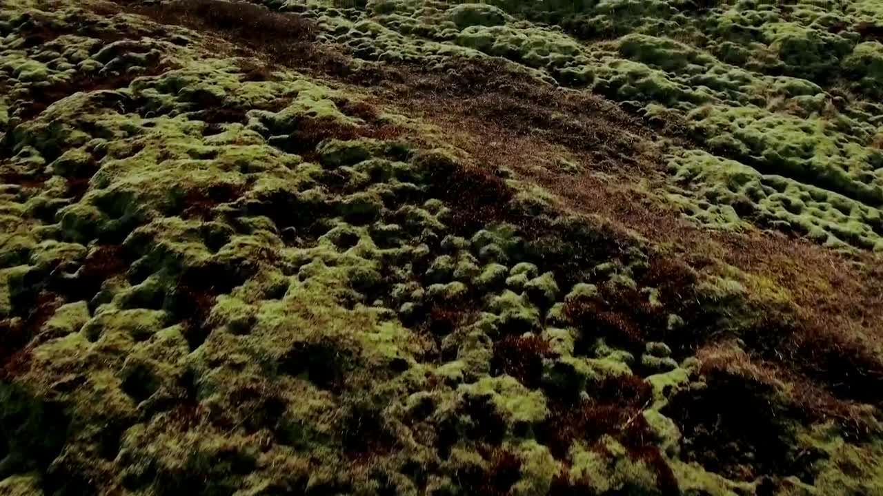 Stock Video Lava Field Covered With Grass Animated Wallpaper