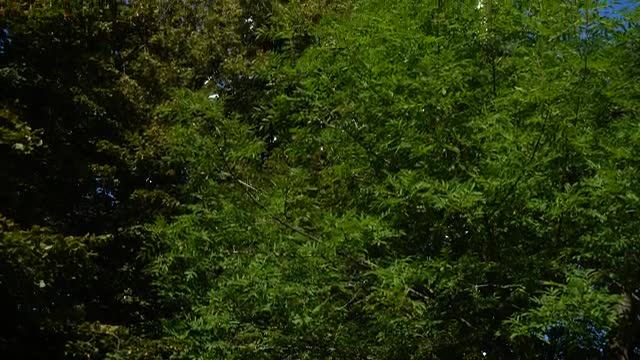 Stock Video Large Television Tower Smal Animated Wallpaper