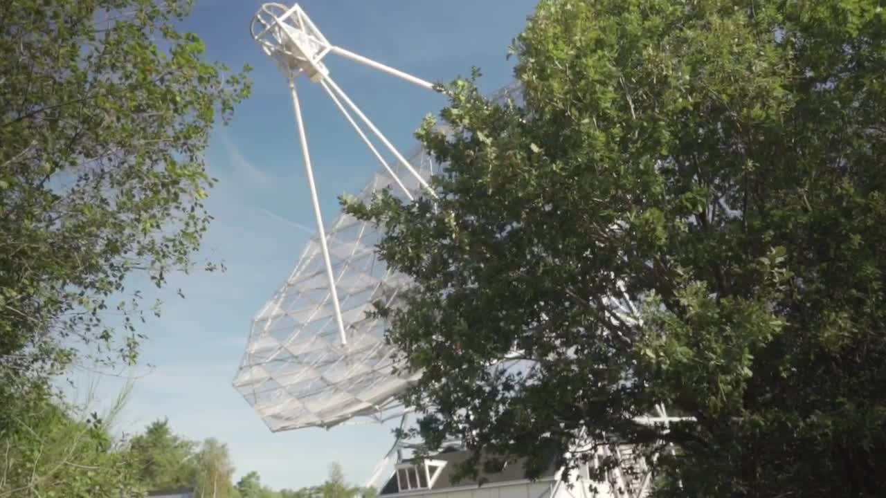 Stock Video Large Satellite Antenna In The Forest Animated Wallpaper