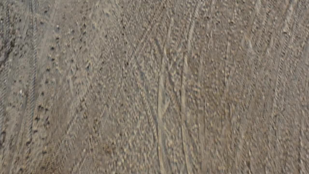 Stock Video Large Sandy Beach Animated Wallpaper