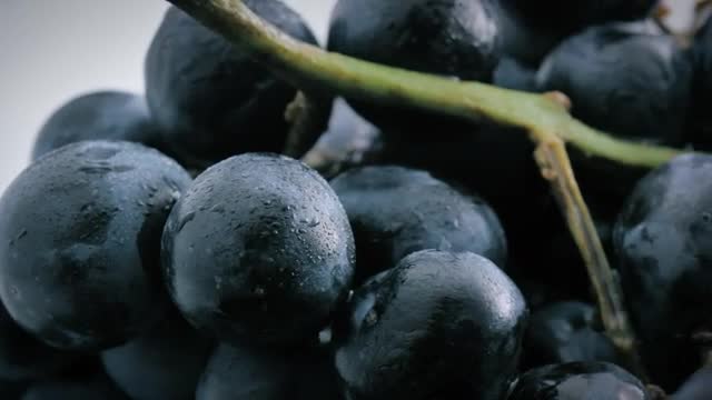 Stock Video Large Purple Grapes With A Close Focus Smal Animated Wallpaper