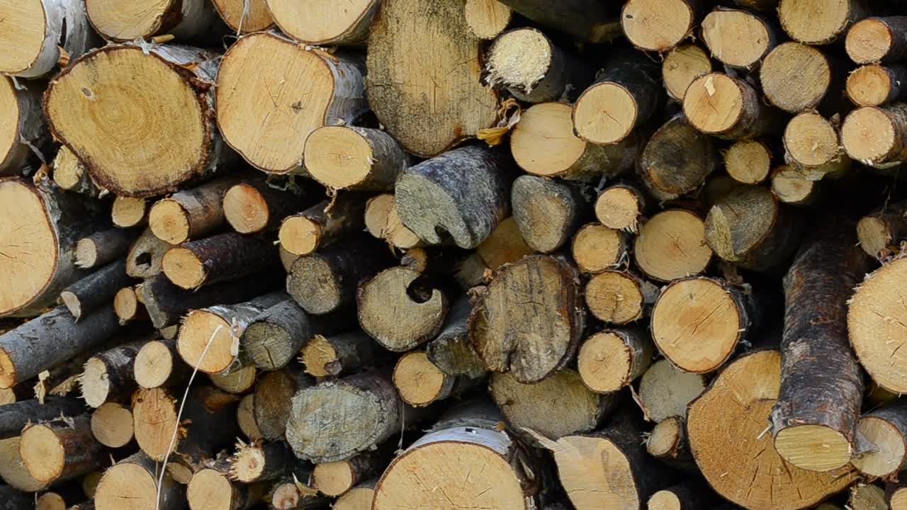 Stock Video Large Firewood Ready For Use Animated Wallpaper