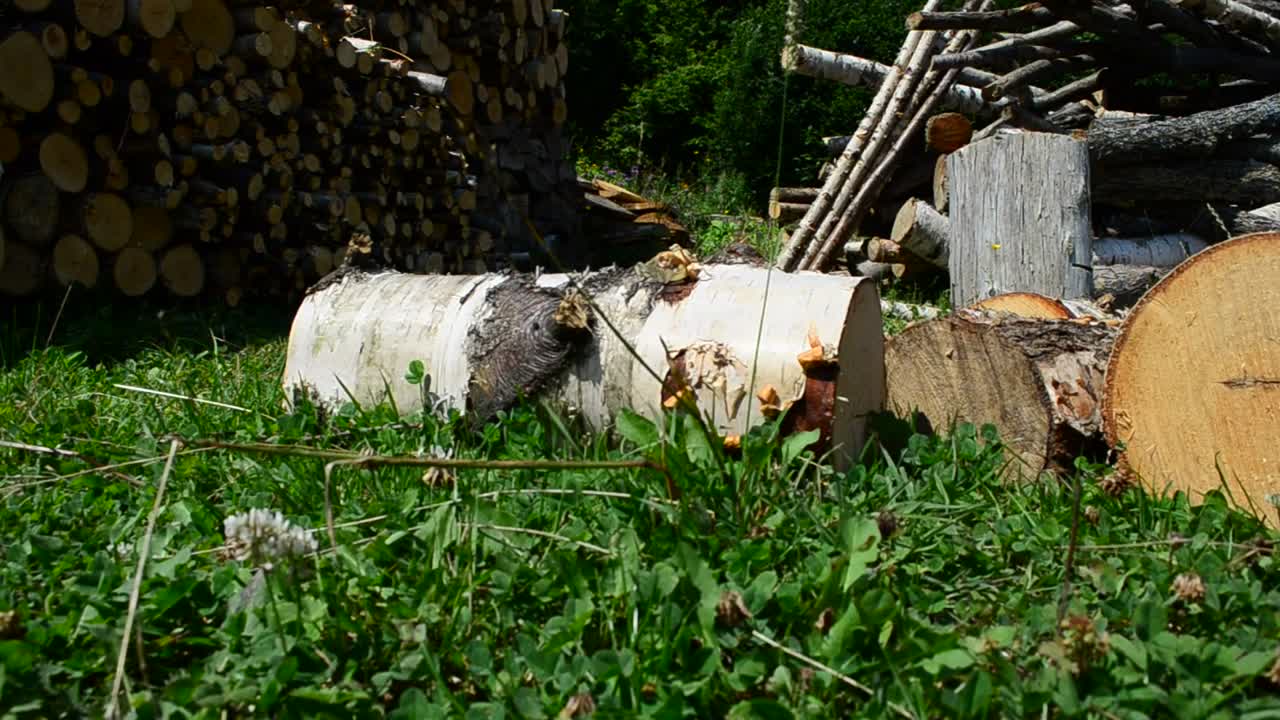 Stock Video Large Chunks Of Fire Wood Animated Wallpaper