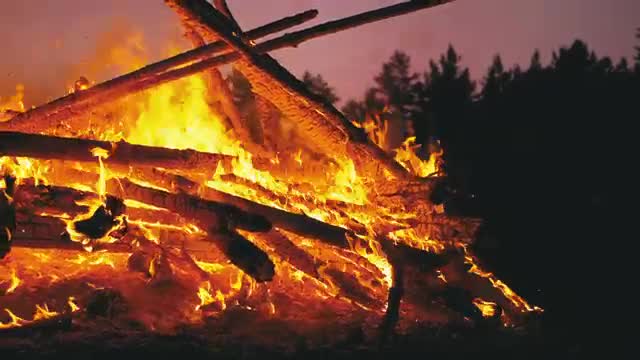 Stock Video Large Campfire In The Middle Of Nature Smal Animated Wallpaper