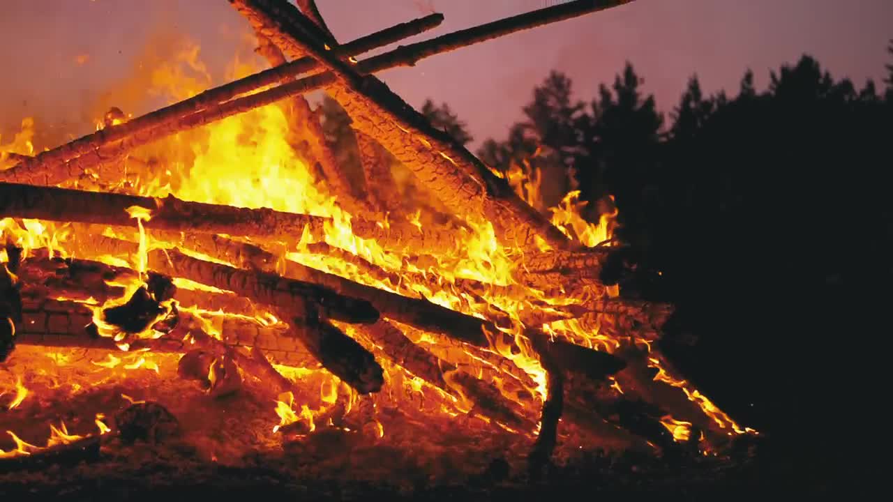 Stock Video Large Campfire In The Middle Of Nature Animated Wallpaper