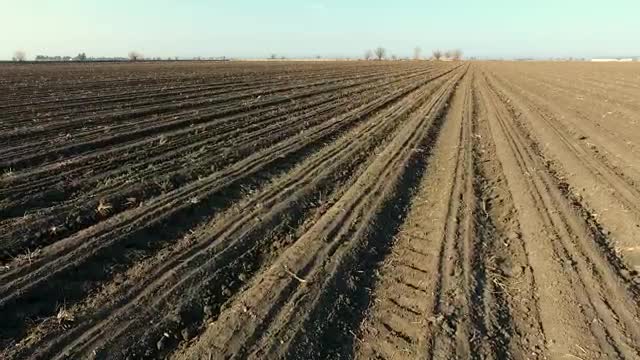 Stock Video Large Agricultural Land Smal Animated Wallpaper