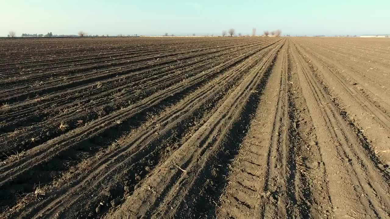 Stock Video Large Agricultural Land Animated Wallpaper
