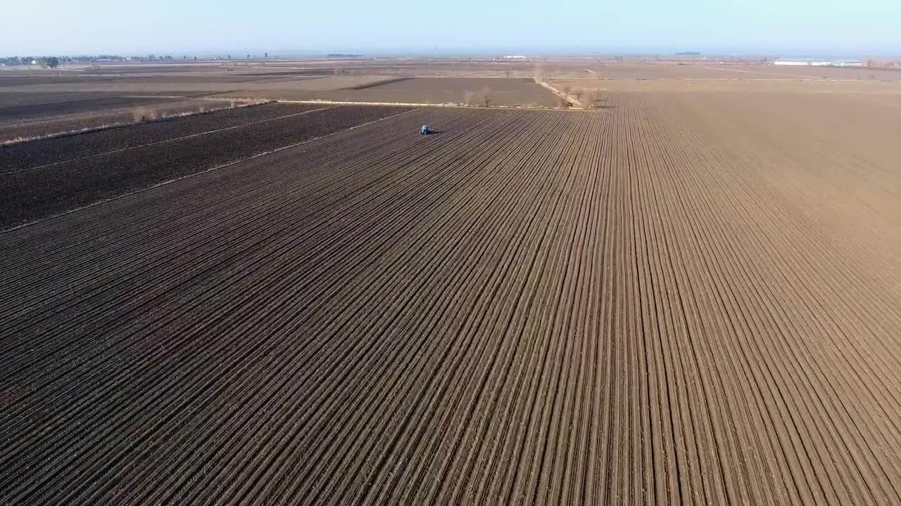 Stock Video Large Agricultural Fields Landscape Animated Wallpaper