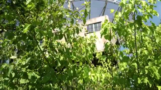 Stock Video Large Abandoned And Dilapidated Antenna Smal Animated Wallpaper