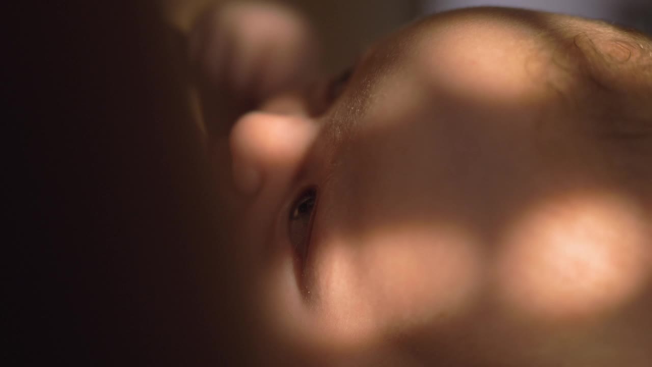 Stock Video Mother Feeding Her Young Chil Animated Wallpaper