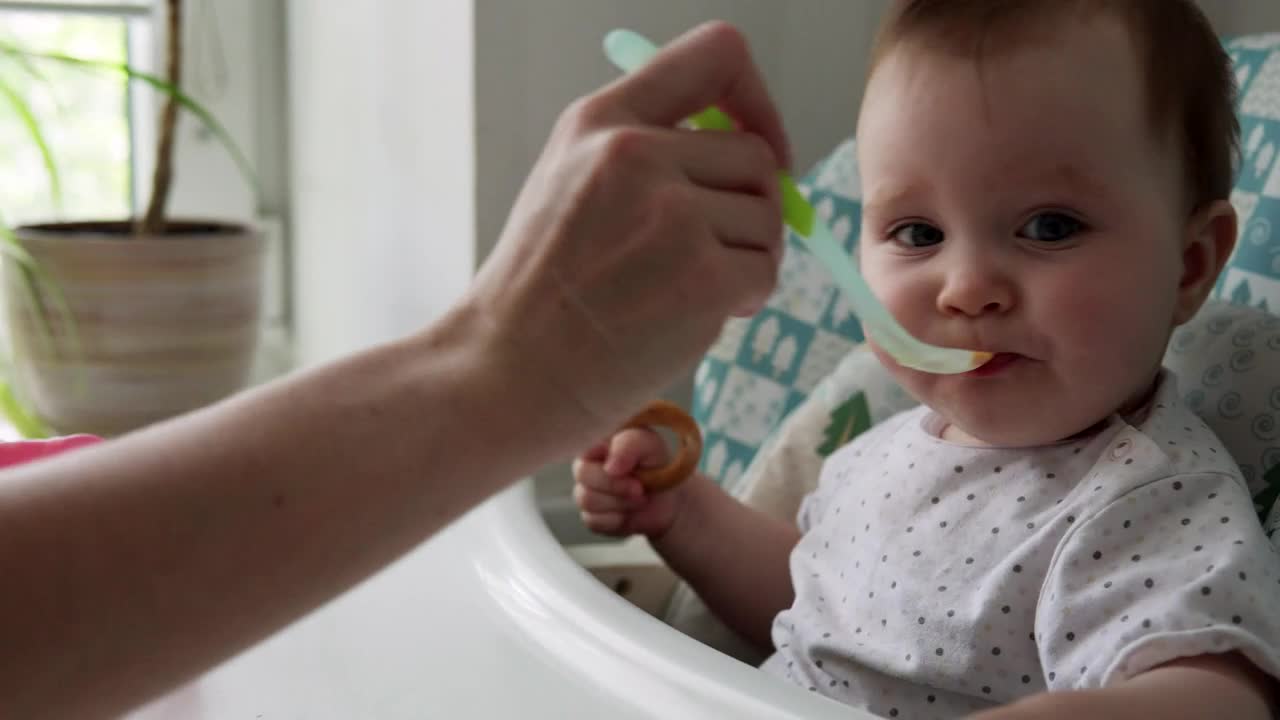 Stock Video Mother Feeding Her Young Bab Animated Wallpaper