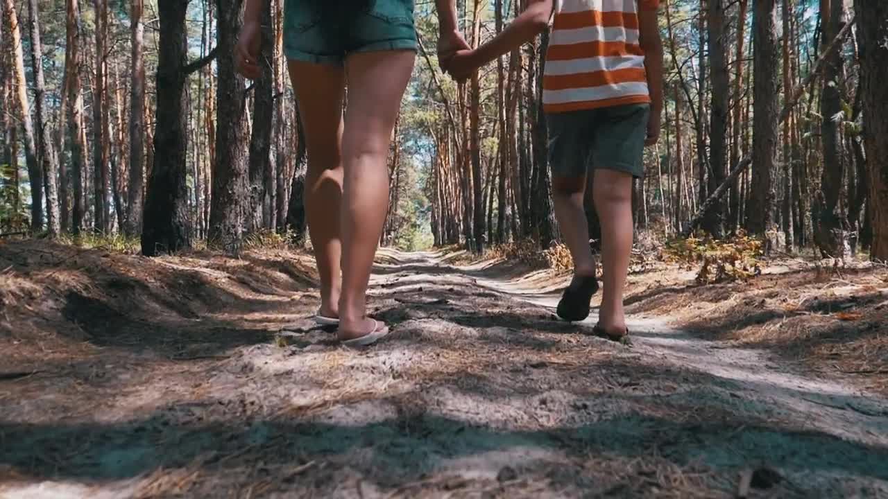 Stock Video Mother And Son Walk Holding Hands In A Fores Animated Wallpaper