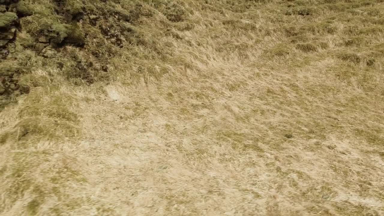 Stock Video Moss Covered Rocks By A Rive Animated Wallpaper