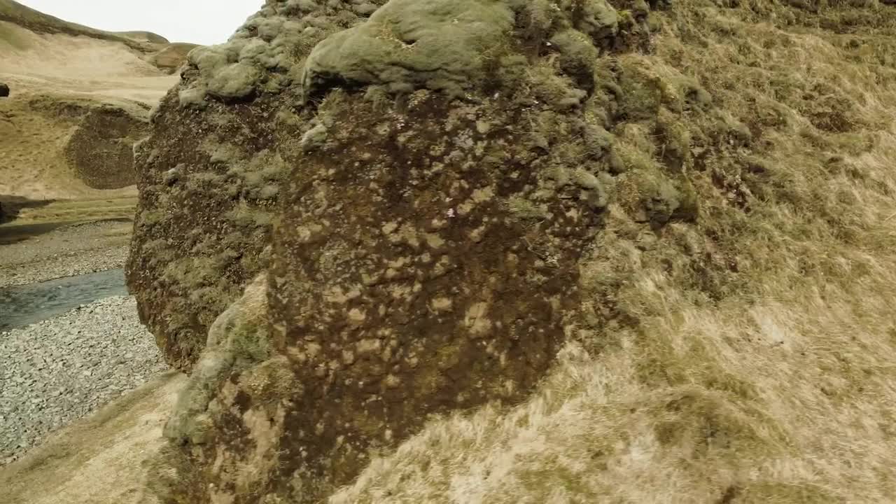 Stock Video Moss Covered Canyo Animated Wallpaper