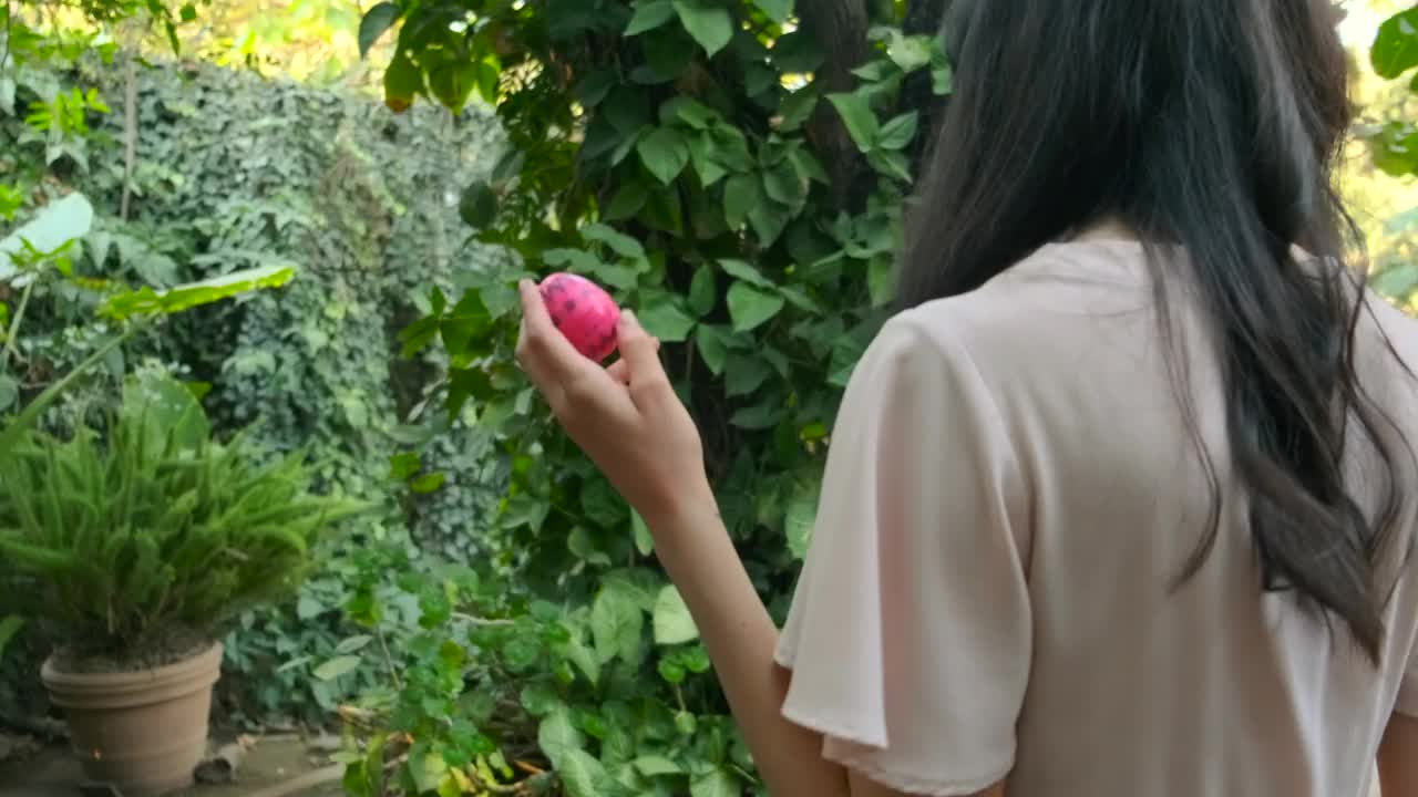Stock Video Mom Hiding An Easter Eg Animated Wallpaper