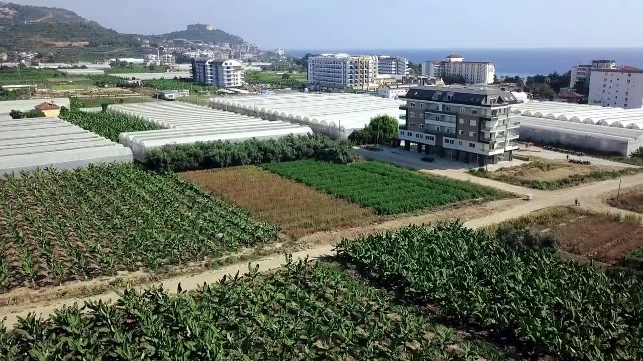 Stock Video Modern Farm At The Coas Animated Wallpaper